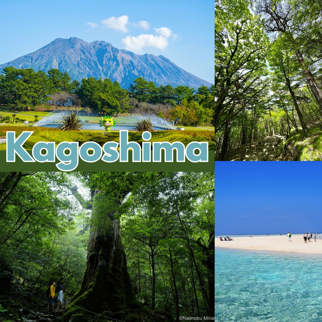 HOÀ MÌNH VÀO THIÊN NHIÊN CỔ ĐẠI KAGOSHIMA